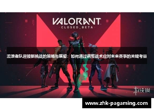 流浪者队迎接新挑战的策略与展望：如何通过调整战术应对未来赛事的关键考量
