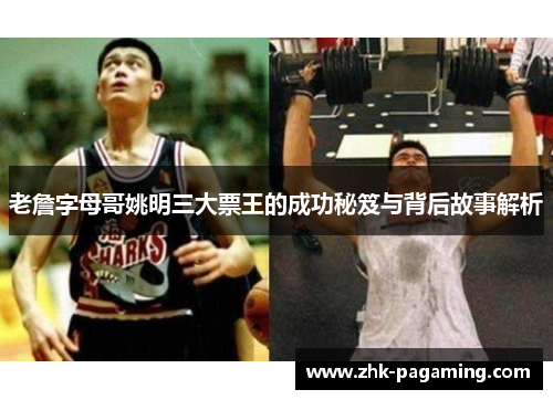 老詹字母哥姚明三大票王的成功秘笈与背后故事解析
