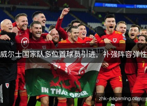 威尔士国家队多位置球员引进，补强阵容弹性
